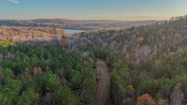 4126 Lamontville Rd, Decatur TN, 37322 land for sale