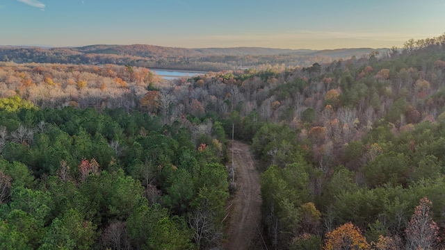 0 Lamontville Rd, Decatur, TN 37322 - photo 1
