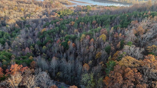 0 Lamontville Rd, Decatur, TN 37322 - photo 9