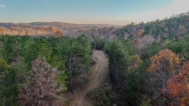 0 Lamontville Rd, Decatur, TN 37322 - photo 15
