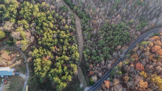 0 Lamontville Rd, Decatur, TN 37322 - photo 8