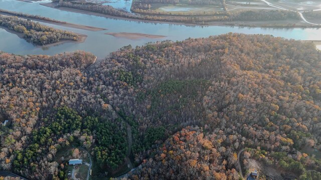 0 Lamontville Rd, Decatur, TN 37322 - photo 11
