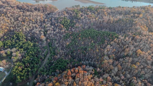 0 Lamontville Rd, Decatur, TN 37322 - photo 6