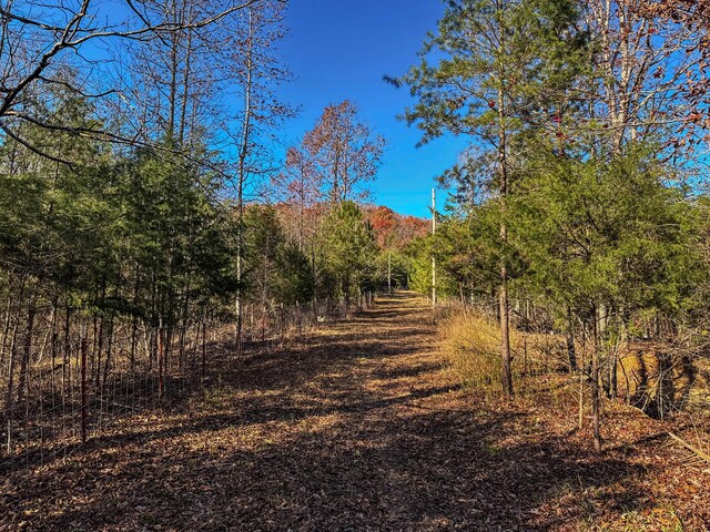 0 Lamontville Rd, Decatur, TN 37322 - photo 4