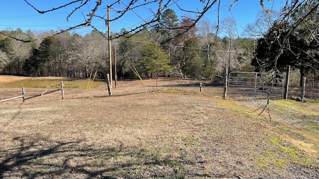 view of yard featuring a rural view