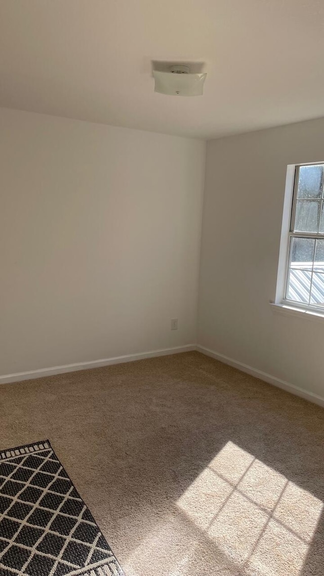 unfurnished room featuring carpet