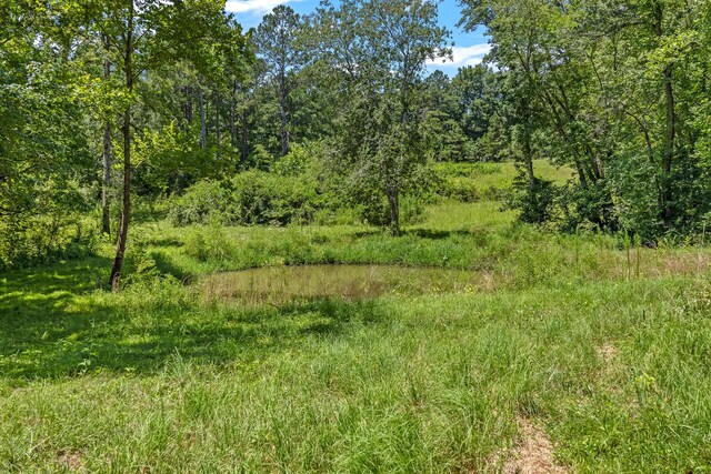 838 County Road 105, Athens, TN 37303 - photo 36