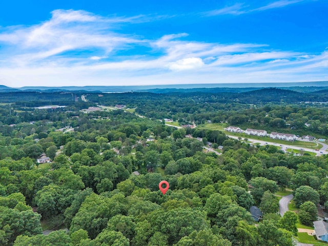 6833 Buck Trail Dr, Harrison, TN 37341 - aerial view of a forest