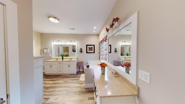 bathroom with wood-type flooring and vanity