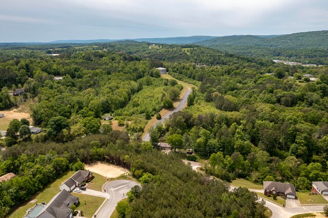 LOT1 Cori Dr, Dayton, TN 37321 - photo 14