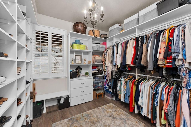 walk in closet featuring dark hardwood / wood-style floors and a chandelier