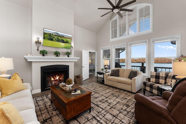 living room with hardwood / wood-style floors and ceiling fan