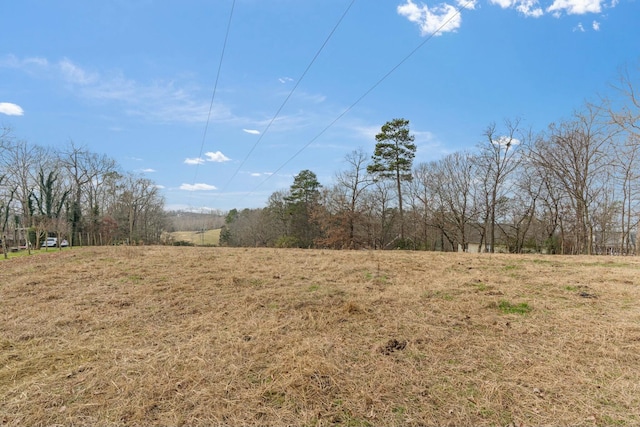 view of landscape featuring a rural view