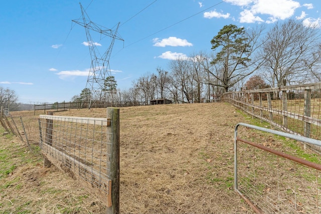 view of yard featuring a rural view