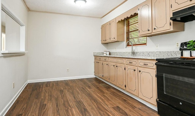 1132 Eldredge Cir NW, Cleveland, TN 37312 - kitchen featuring black / electric stove, under cabinet range hood, dark wood finished floors, a sink, and baseboards