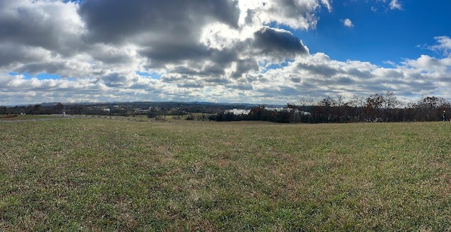 view of yard with a rural view