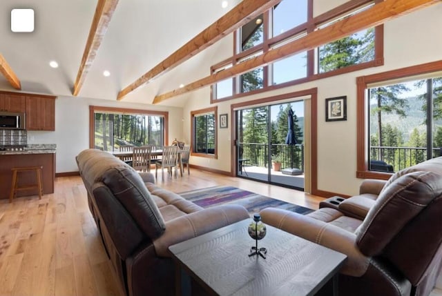 living room with beam ceiling, high vaulted ceiling, and light hardwood / wood-style flooring