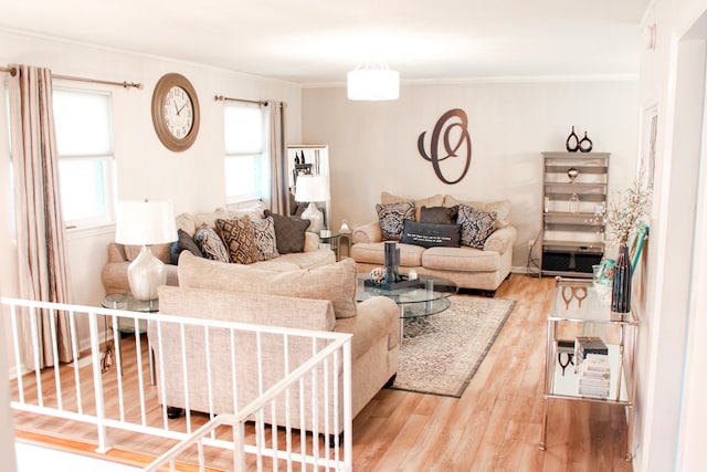 living room featuring ornamental molding and wood finished floors