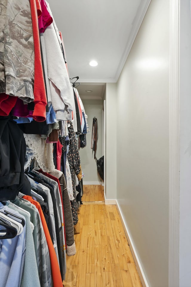 walk in closet with hardwood / wood-style floors