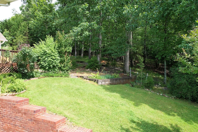 1454 Benjamin Cir NW, Cleveland, TN 37312 - view of green lawn