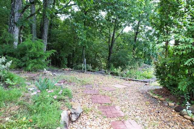 1454 Benjamin Cir NW, Cleveland, TN 37312 - view of yard