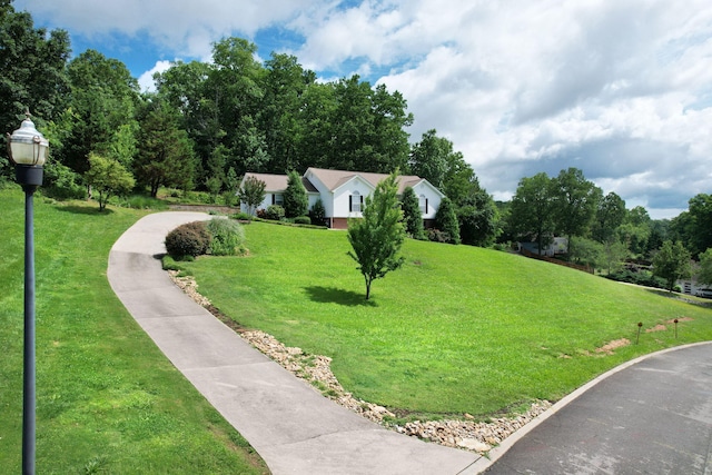 1454 Benjamin Cir NW, Cleveland, TN 37312 - view of home's community with a yard
