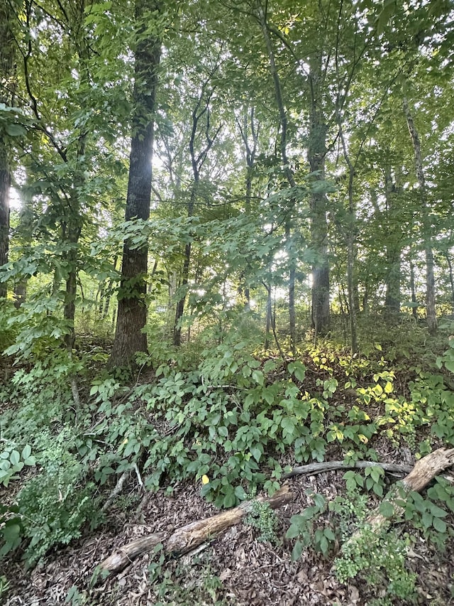 1AC Reed Strickland Ln, Spring City, TN 37381