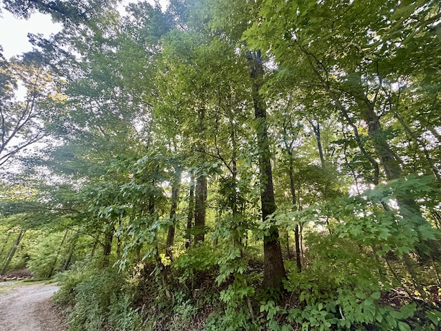 1AC Reed Strickland Ln, Spring City, TN 37381