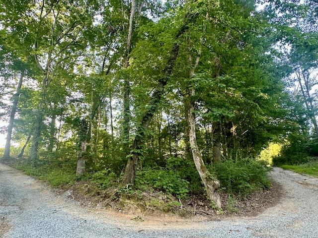 1AC Reed Strickland Ln, Spring City, TN 37381