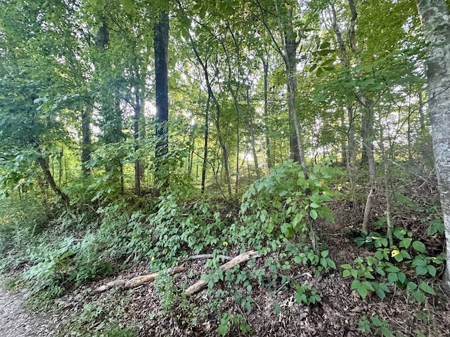 1AC Reed Strickland Ln, Spring City, TN 37381