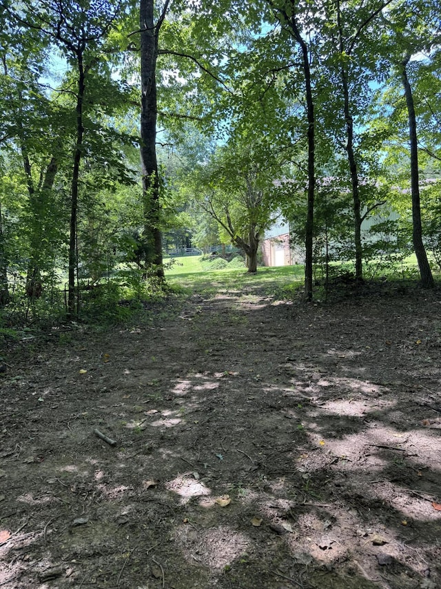 225 County Road 59, Riceville, TN 37370 - photo 42