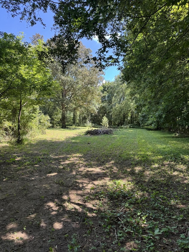 225 County Road 59, Riceville, TN 37370 - photo 43