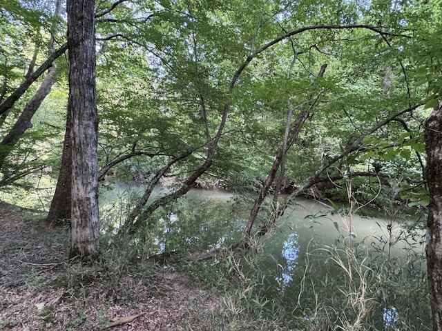 225 County Road 59, Riceville, TN 37370 - photo 47