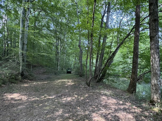 225 County Road 59, Riceville, TN 37370 - photo 49