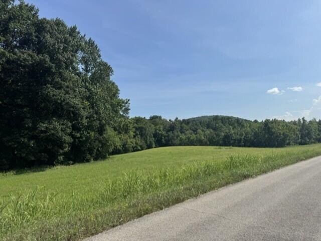 225 County Road 59, Riceville, TN 37370 - photo 64