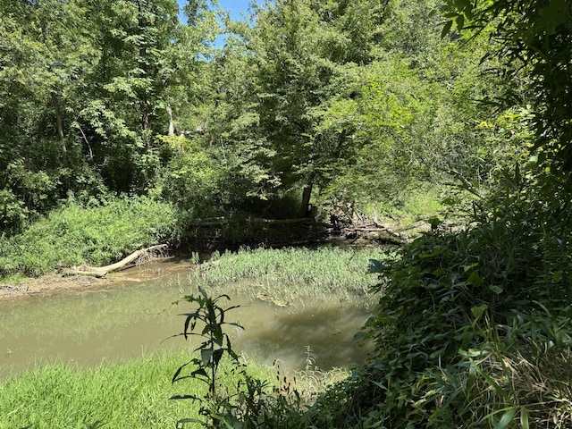 225 County Road 59, Riceville, TN 37370 - photo 46