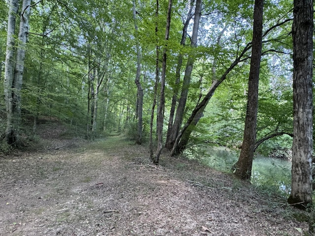 225 County Road 59, Riceville, TN 37370 - photo 48