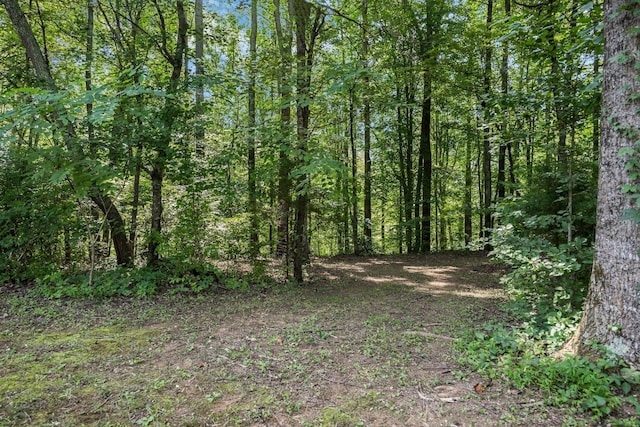 225 County Road 59, Riceville, TN 37370 - photo 54