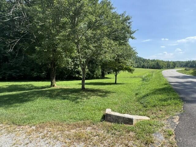 225 County Road 59, Riceville, TN 37370 - photo 60