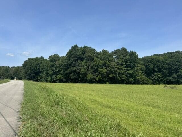 225 County Road 59, Riceville, TN 37370 - photo 59