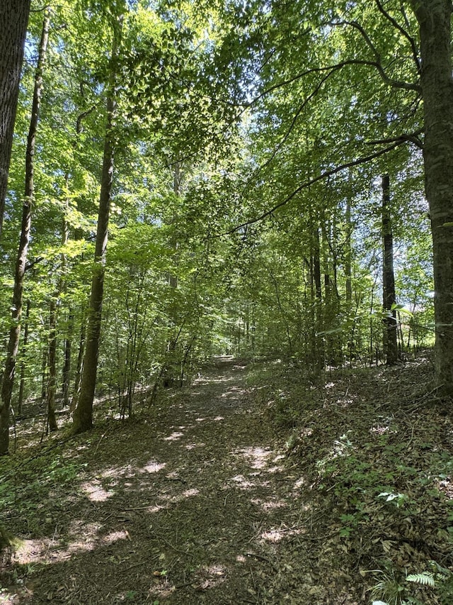 225 County Road 59, Riceville, TN 37370 - photo 41