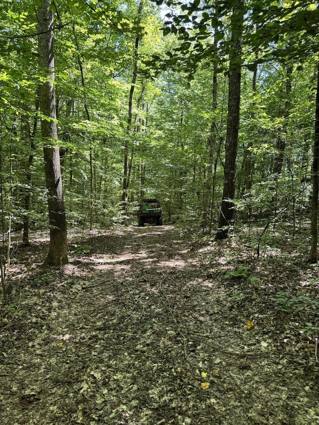 225 County Road 59, Riceville, TN 37370 - photo 40