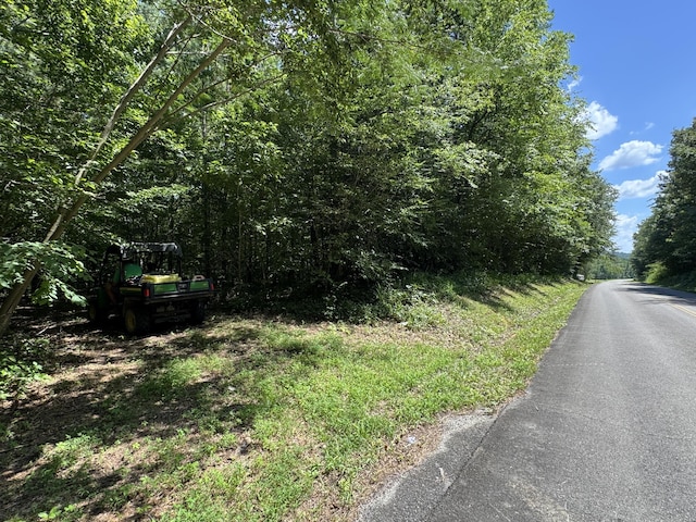 225 County Road 59, Riceville, TN 37370 - photo 39