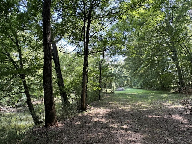 225 County Road 59, Riceville, TN 37370 - photo 50