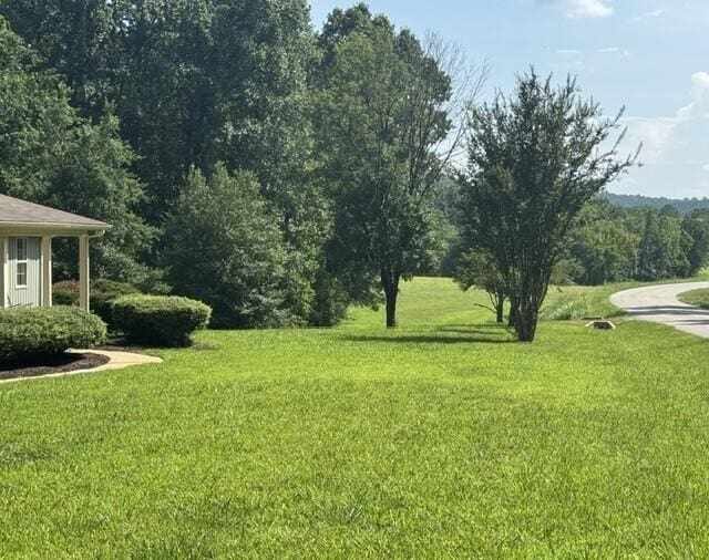 225 County Road 59, Riceville, TN 37370 - photo 62