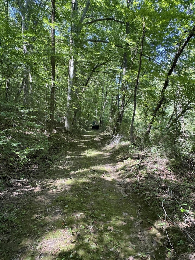 225 County Road 59, Riceville, TN 37370 - photo 51