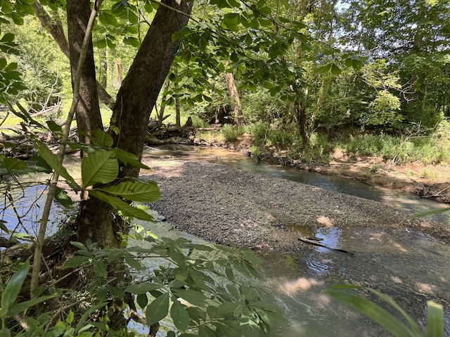225 County Road 59, Riceville, TN 37370 - photo 45