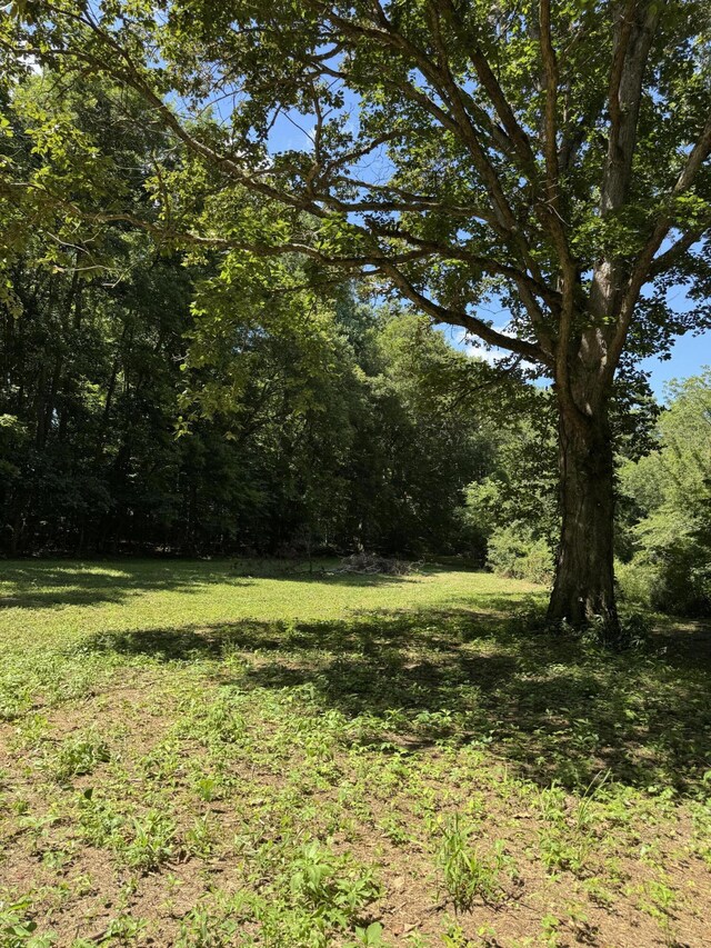 225 County Road 59, Riceville, TN 37370 - photo 44