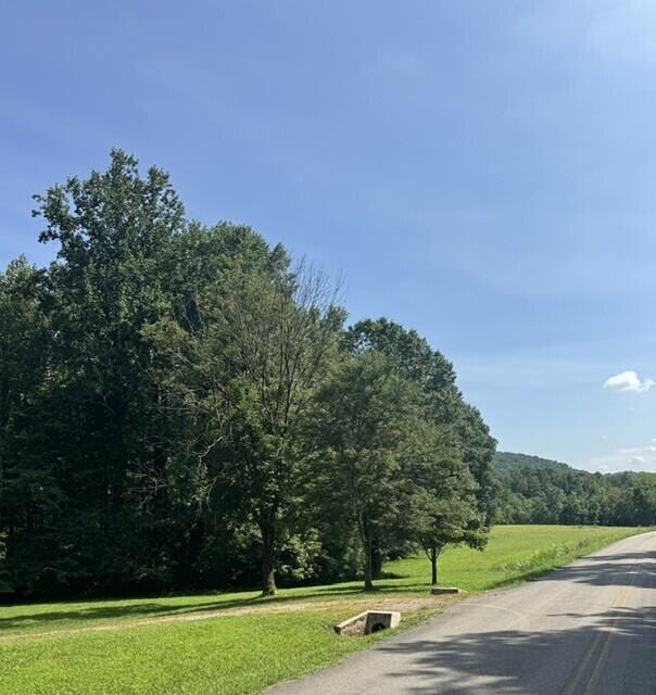 225 County Road 59, Riceville, TN 37370 - photo 63