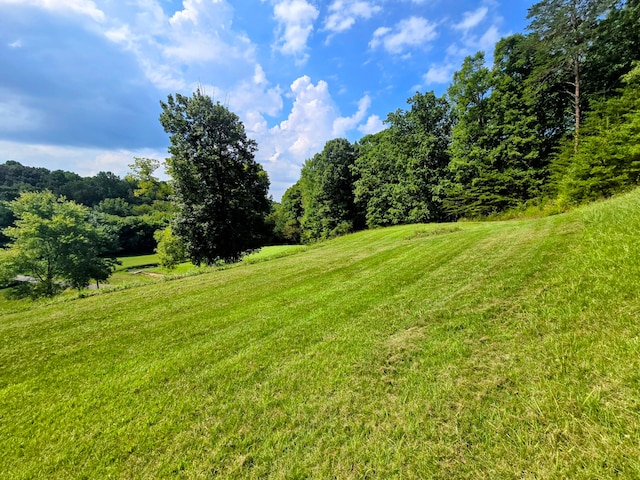 2042 Willow Springs Dr, Athens TN, 37303 land for sale